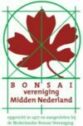 Bonsai Vereniging Midden Nederland